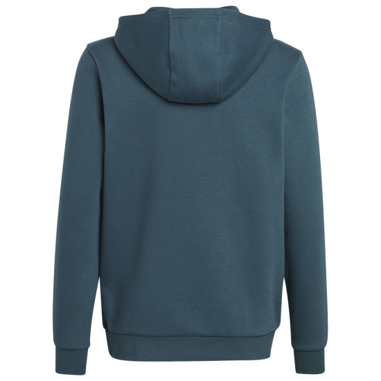 Adidas Παιδικό φούτερ Adicolor Hoodie